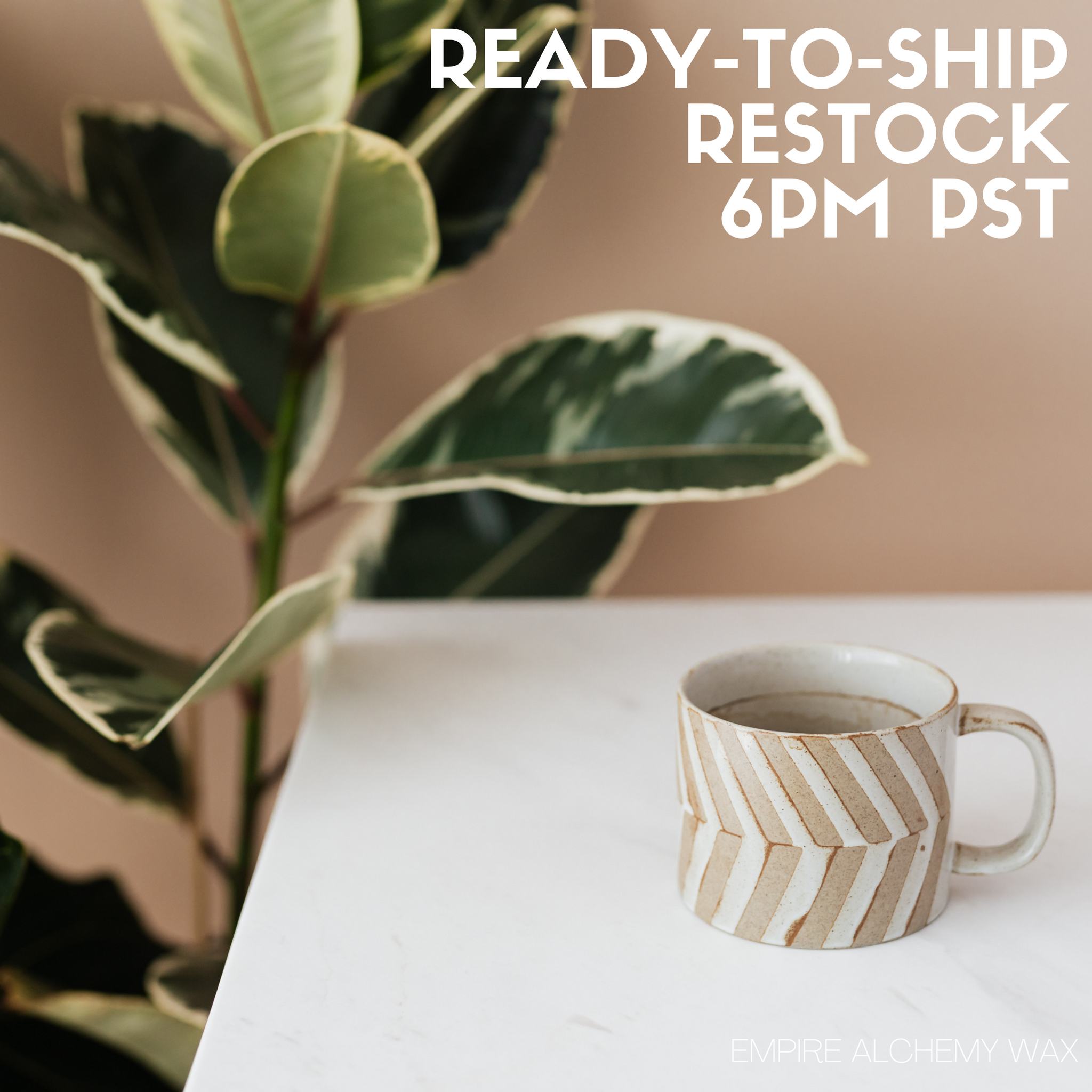 Site Restock Oct. 5th, 2020 @ 6 pm pst
